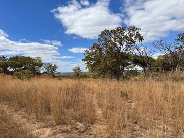 Farm & Agricultural Land