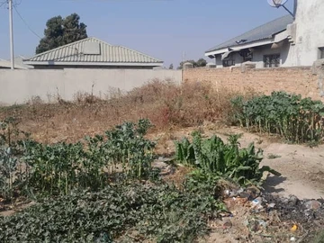 Stands & Residential Land