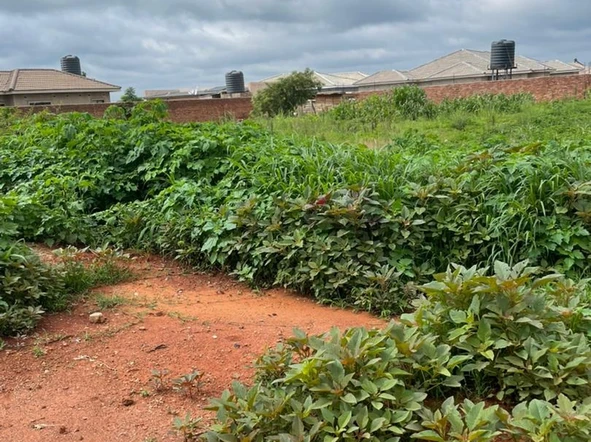 Stands & Residential Land