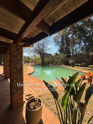Bluffhill house for sale 