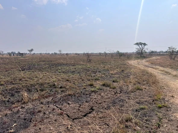 Commercial & Industrial Land