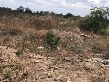 Commercial & Industrial Land