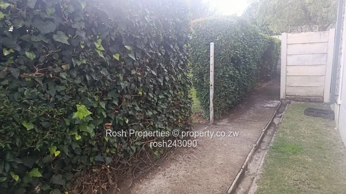 Avondale 2-Bed Garden Flat