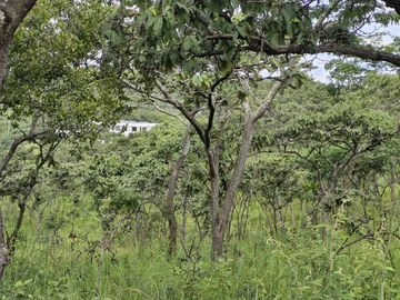 Residential Stand for sale