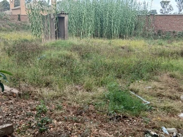 Stands & Residential Land