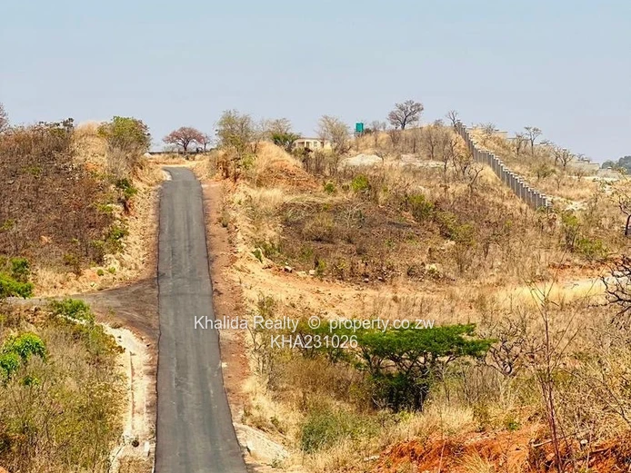 Pomona Stand For Sale  Wild Geese UZ project