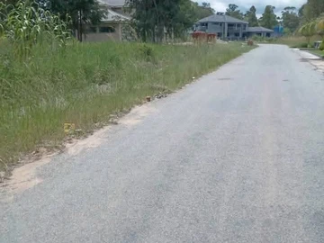 Stands & Residential Land