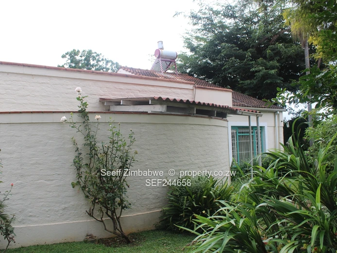 Dandaro Flat For Rent