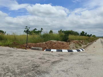 Stands & Residential Land