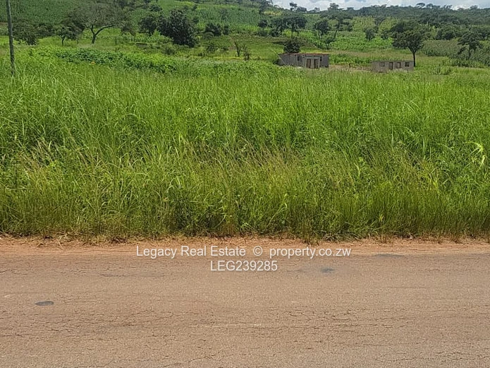 Prime 2,000sqm Stands for Sale Near Concession–Glendale Road, Concession