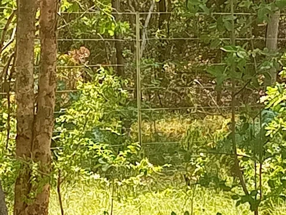 Farm & Agricultural Land