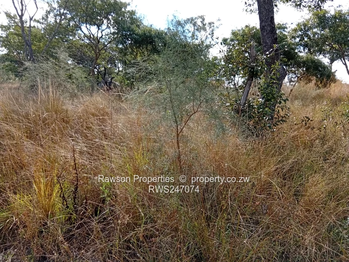 Agroplot for Sale in Ruwa