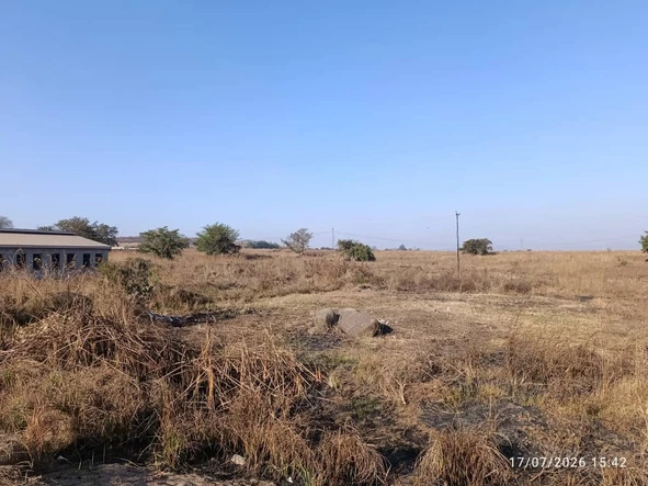 Stands & Residential Land