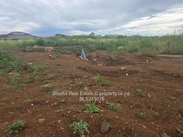 Rainham Park Stand for Sale