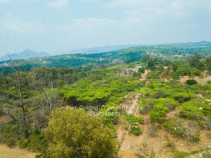 Stands In Nyanga At Nyamazi River For Sale