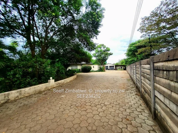 Spacious 4-Bedroom Family Home in Marlborough Needing TLC!