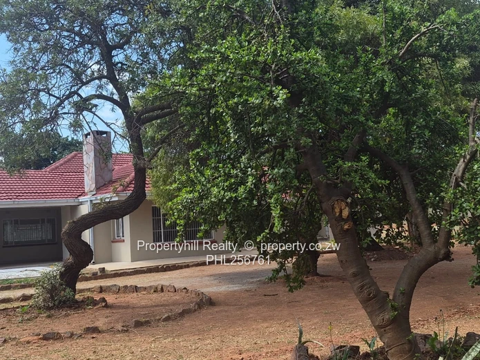 4-Bed Family Home On 5000m² With Borehole (Sole Mandate)