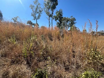 Farm & Agricultural Land