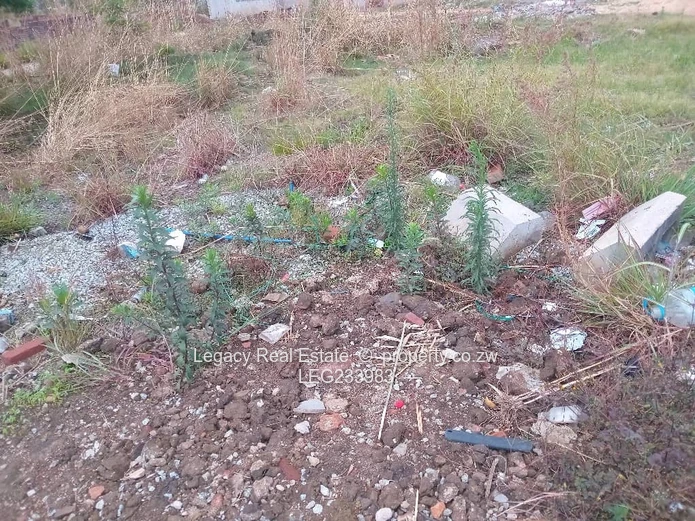  Ready to Build Stand in Cold Comfort. 