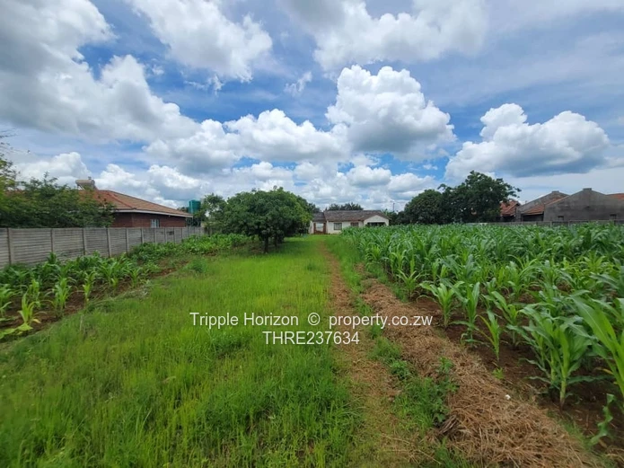 Stand for sale with cottage