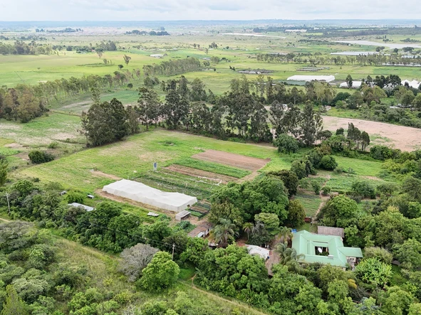 Farm & Agricultural Land