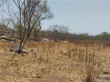 Farm & Agricultural Land