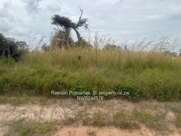 Make a good choice and secure a stand!!