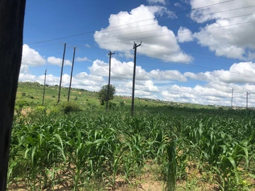 Commercial & Industrial Land