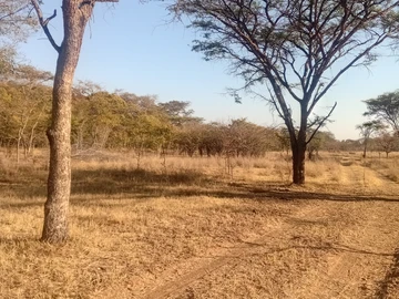 Farm & Agricultural Land