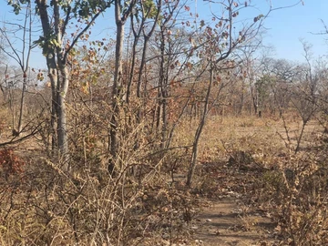 Farm & Agricultural Land