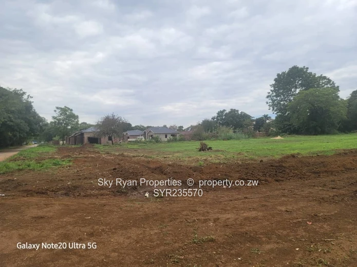 Marlborough Adlyn Stands For Sale