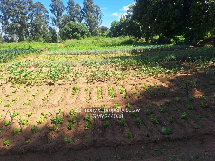 Agro - Residential Plots For Sale