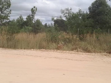 Farm & Agricultural Land