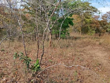 Farm & Agricultural Land