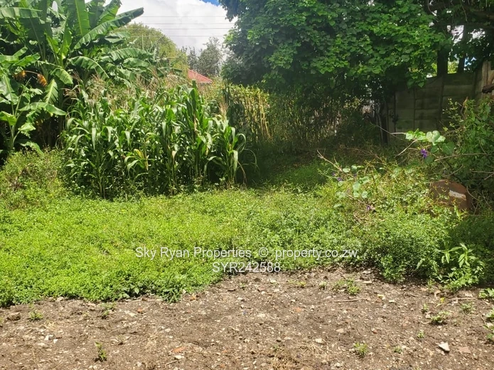 Avondale Stand For Sale