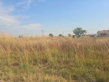 Stands & Residential Land