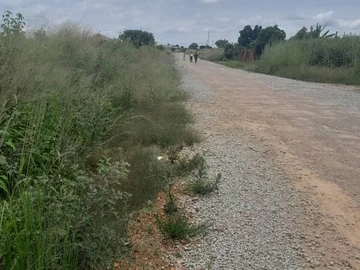 Stands & Residential Land