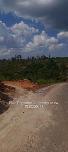 Pomona-Buckland Terrance Stand for Sale (Sole Mandate)