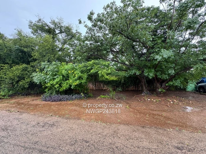 Prime Investment Opportunity in Hillside South – Spacious 3-Bedroom Home on 3,600sqm with Renovation