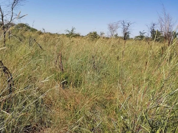 Prime 177-Hectare Agricultural Land in Chakare