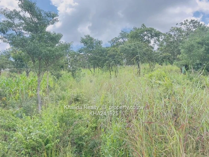 Gletwin Stand for Sale 