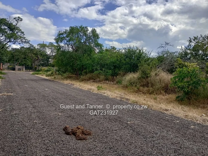Low-Density Residential Stand for Sale – Near Zambezi River & Victoria Falls