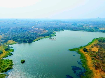 Farm & Agricultural Land