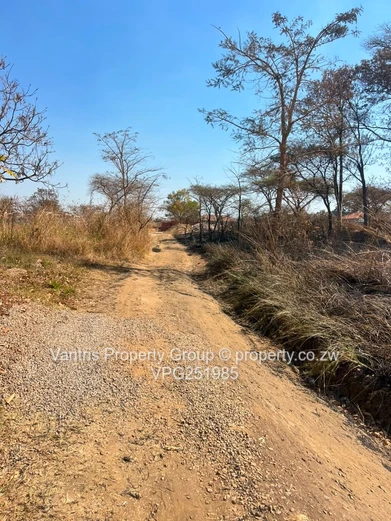 Sawara hills Residential stands for sale