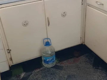 Flat & Apartment