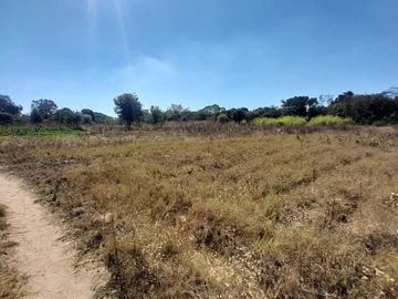 Farm & Agricultural Land
