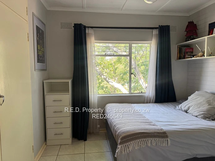 Business and Executive