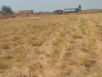 Farm & Agricultural Land