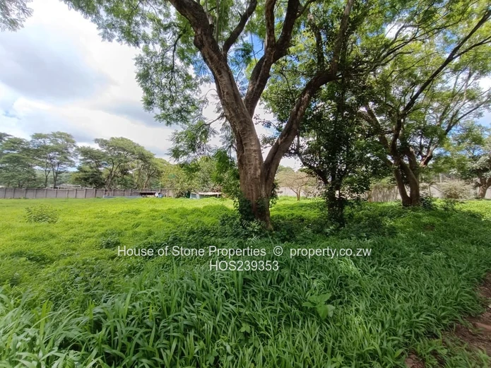 Glenlorne Stand - 1 Acre for Sale.