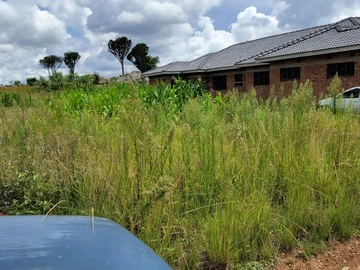 Stands & Residential Land